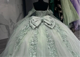 Classic Lace Up Appliques Quinceanera Ball Gown