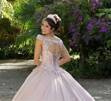 Light Pink Quinceañera Dress