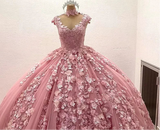 Pink 3D Floral Quinceañera Dress