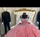 Glittering 3D Flowers Quinceanera Dress