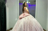 Pink Ball Gown with Lace Appliques