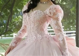 Pink 3D Floral Quinceañera Ball Gown