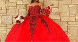 Black Princess Quinceañera Dress