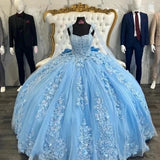 Glittering 3D Flowers Quinceanera Dress