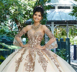 Sweet 16 Pink Princess Quinceañera Dress