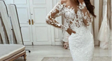 Exquisite Lace Mermaid Wedding Dress