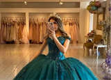 Lace Up Back Appliques Quinceanera Dress