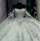 Classic Lace Up Appliques Quinceanera Ball Gown