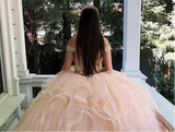 Off-Shoulder Sparkly Organza Quinceanera Gown