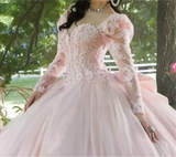 Pink 3D Floral Quinceañera Ball Gown