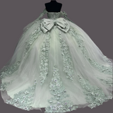 Classic Lace Up Appliques Quinceanera Ball Gown