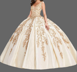 Quinceañera V-Neck Ball Gown Dress