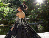Black Princess Quinceañera Dress