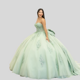 3D Flowers Beading Appliques Bow Quinceanera Dress