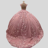 Pink 3D Floral Quinceañera Dress