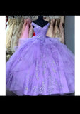 Shiny V-Neck Ball Gown 15 Year Old Quinceanera Dress