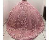 Pink 3D Floral Quinceañera Dress