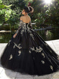 Black Princess Quinceañera Dress