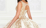 Quinceañera V-Neck Ball Gown Dress