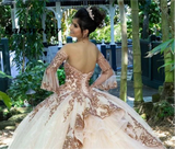Sweet 16 Pink Princess Quinceañera Dress