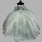 Classic Lace Up Appliques Quinceanera Ball Gown