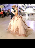 Quinceañera Dress with Detachable Sleeves