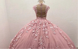 Pink 3D Floral Quinceañera Dress