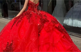 Black Princess Quinceañera Dress