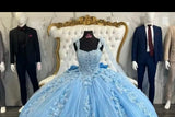 Glittering 3D Flowers Quinceanera Dress