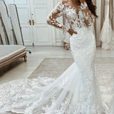 Exquisite Lace Mermaid Wedding Dress
