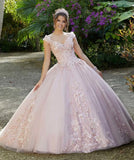 Light Pink Quinceañera Dress