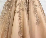 Lace Classic V-neck Elegant Princess A-Line Wedding Dress SET ONE