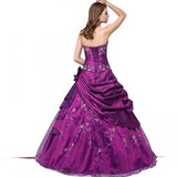 Appliqué Ball Gown for Quinceañera