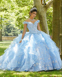 Light Blue Floral Quinceañera Dress