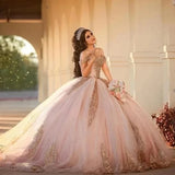 Pink Ball Gown for Quinceañera