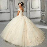 Sparkly Tulle Lace Appliques Quinceanera Dress Set Two