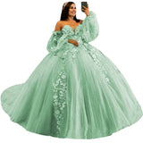 3D Floral Quinceañera Ball Gown