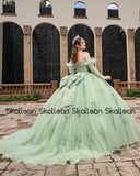 Feathers Appliques Charming Quinceanera Dress