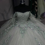 Classic Lace Up Appliques Quinceanera Ball Gown