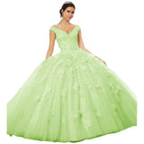 Sparkly Tulle Lace Appliques Quinceanera Dress Set Two