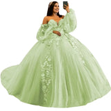 3D Floral Quinceañera Ball Gown