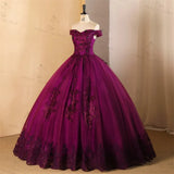Ashley Gloria 15 Quinceanera Dresses