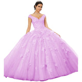 Sparkly Tulle Lace Appliques Quinceanera Dress Set One