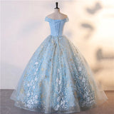 Lace Ball Gown Shinny Sequin Prom, Birthday, Quinceanera Dress