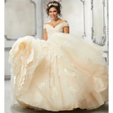 Sparkly Tulle Lace Appliques Quinceanera Dress Set One