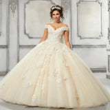Sparkly Tulle Lace Appliques Quinceanera Dress Set Two