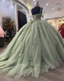 Exquisite Lace Beaded Tulle Quinceanera Dress