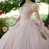 Pink 3D Floral Quinceañera Ball Gown