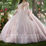 Pink 3D Floral Quinceañera Ball Gown