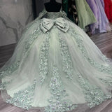 Classic Lace Up Appliques Quinceanera Ball Gown